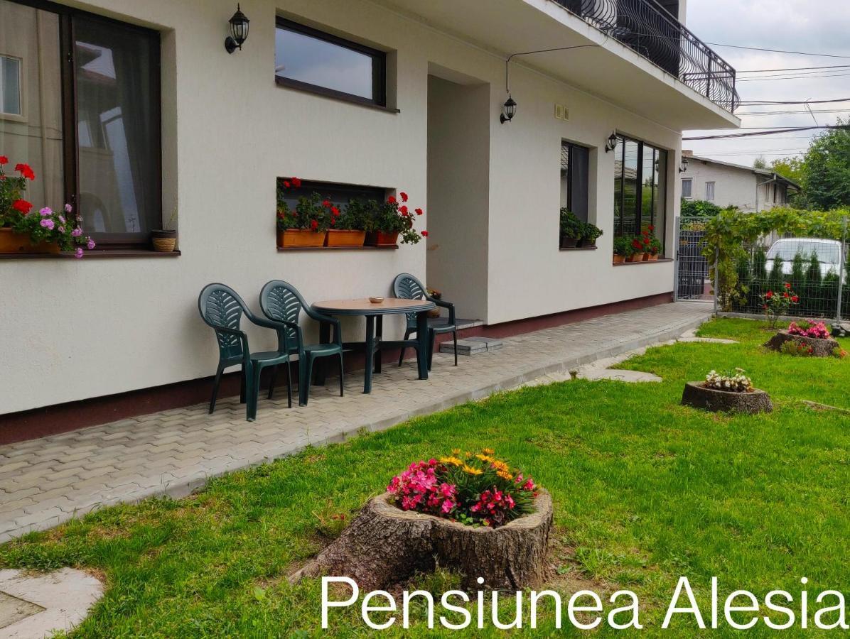 Pensiunea Alesia Pucioasa エクステリア 写真